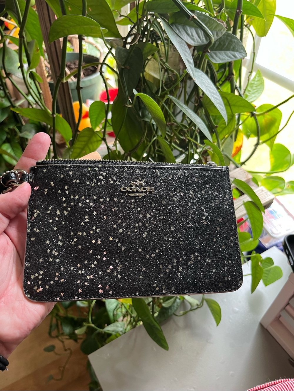 NWOT Coach Wristlet